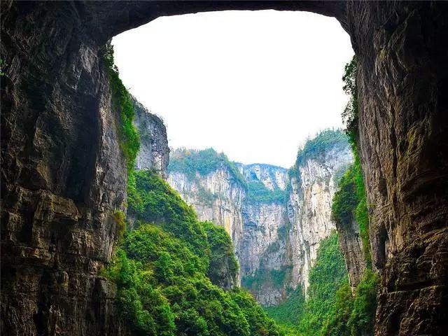 卡通骆驼救援